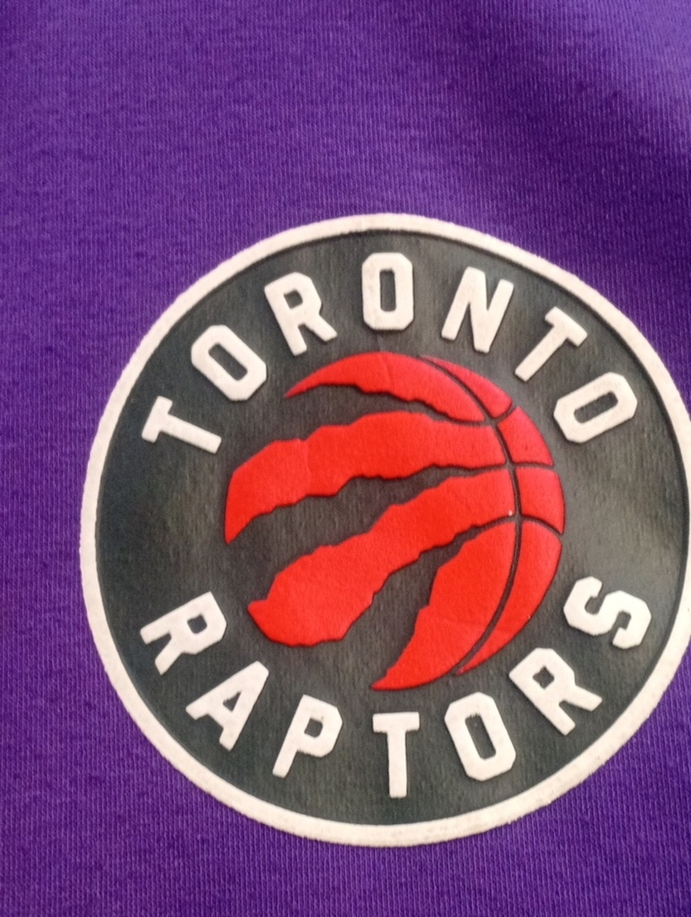 Toronto Raptors Hoodie - Picture 2 of 9